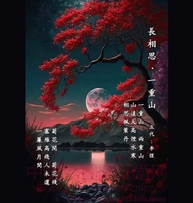 愿得良缘，共度此生！恭祝大家2025情人节快乐！