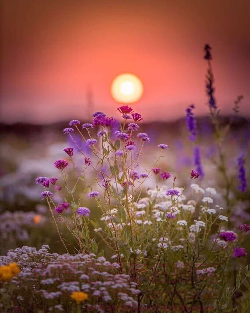 爱情不是偶然，而是选择